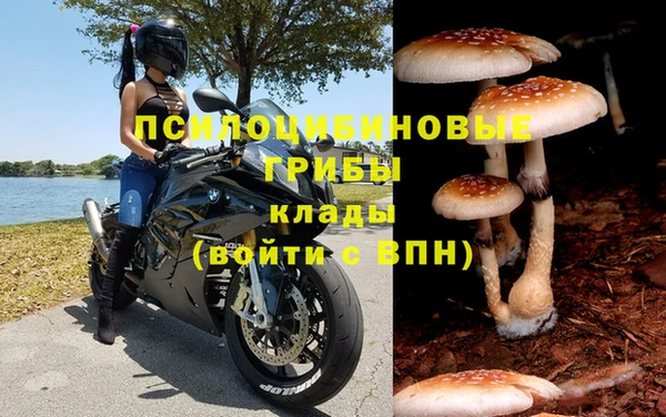 spice Вяземский