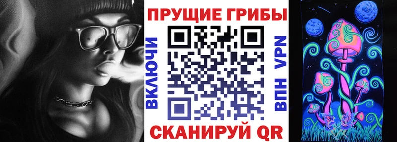 дарнет шоп  KRAKEN ССЫЛКА  Галлюциногенные грибы ЛСД  Петрозаводск 